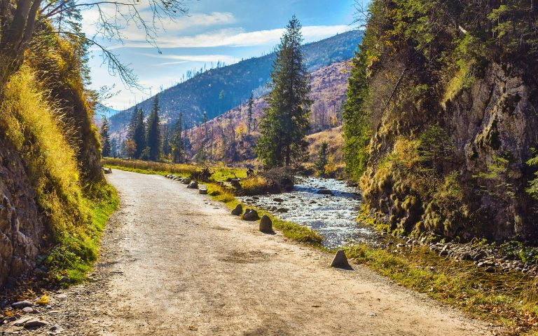 Apartamenty zakopane – komfortowy odpoczynek w centrum górskiego kurortu